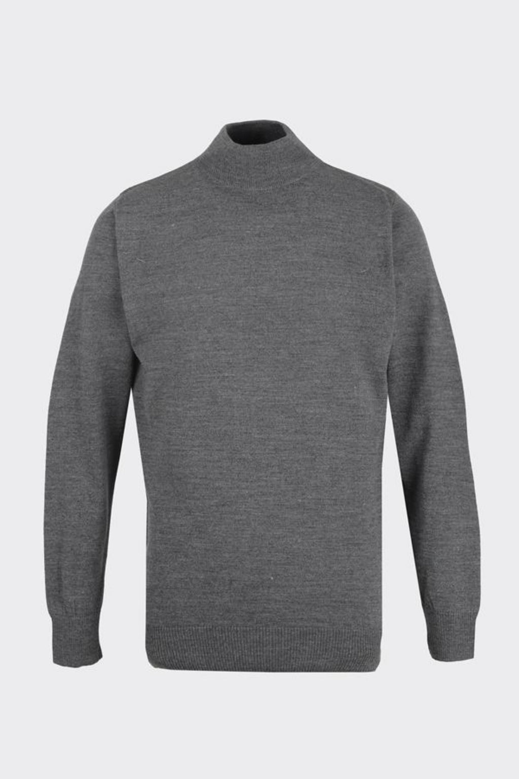 Erkek Allure Yarı Balıkçı Triko-W2506550