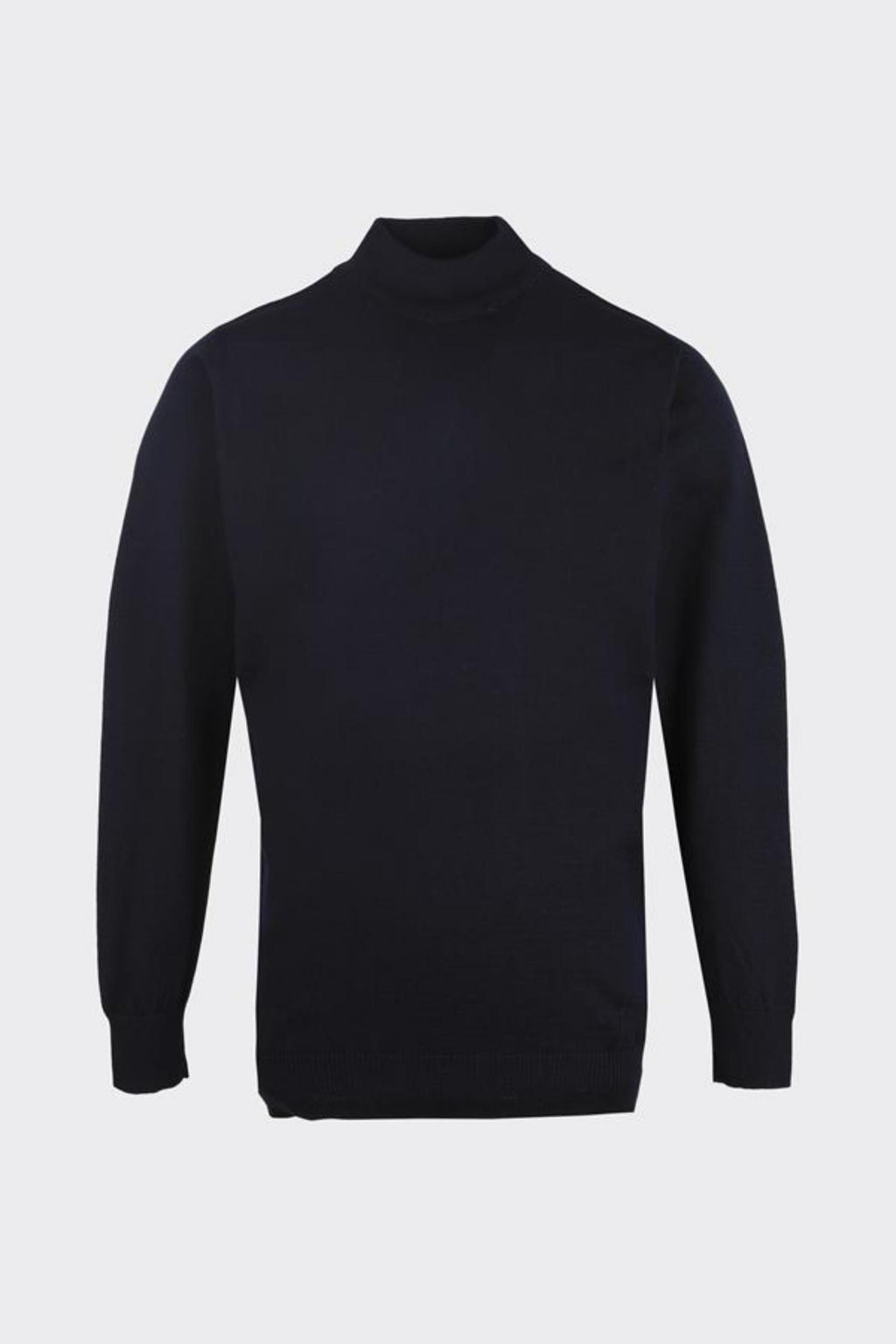 Erkek Allure Yarı Balıkçı Triko-W2506550