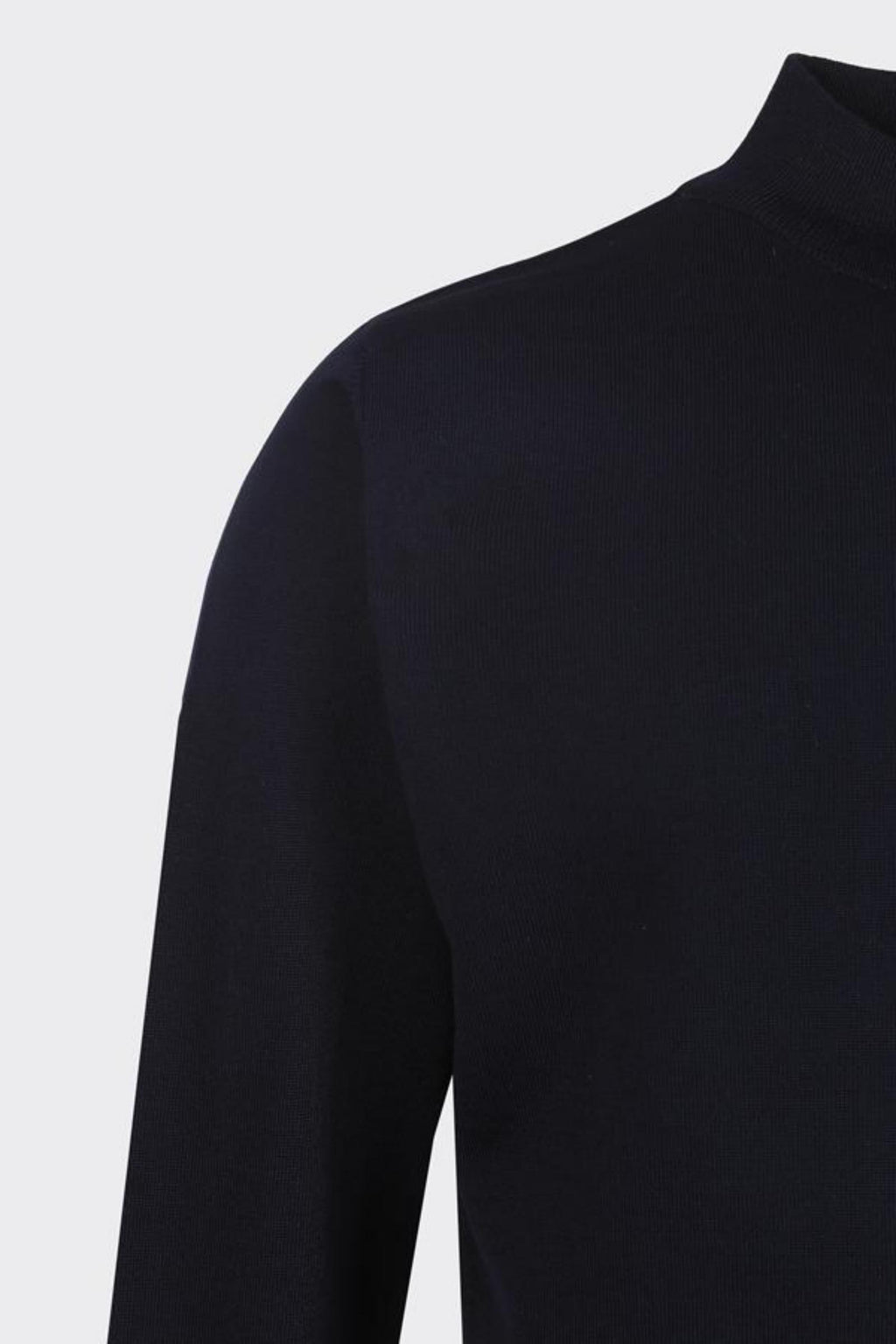 Erkek Allure Yarı Balıkçı Triko-W2506550