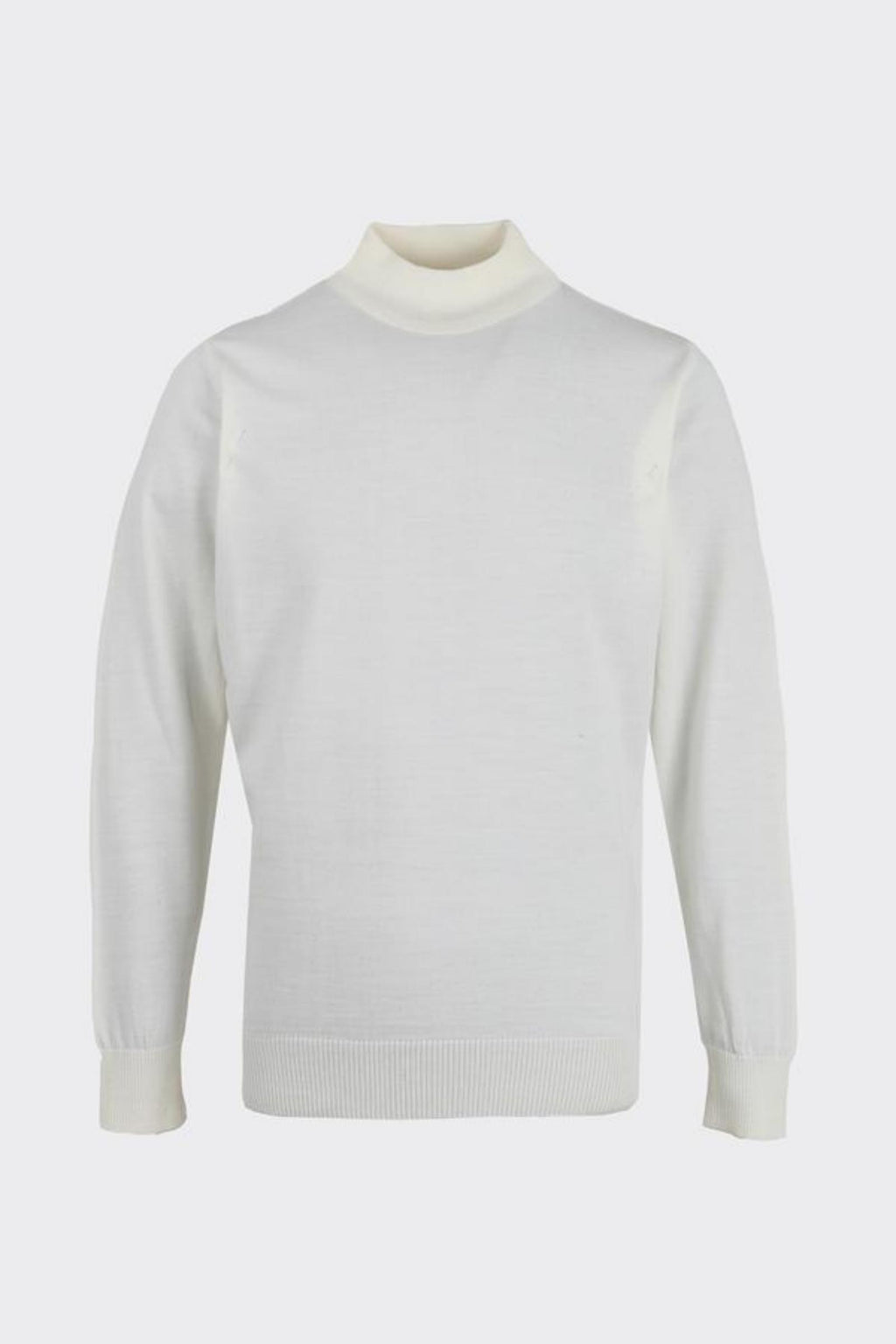 Erkek Allure Yarı Balıkçı Triko-W2506550