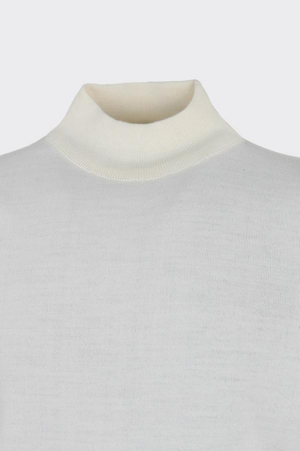 Erkek Allure Yarı Balıkçı Triko-W2506550