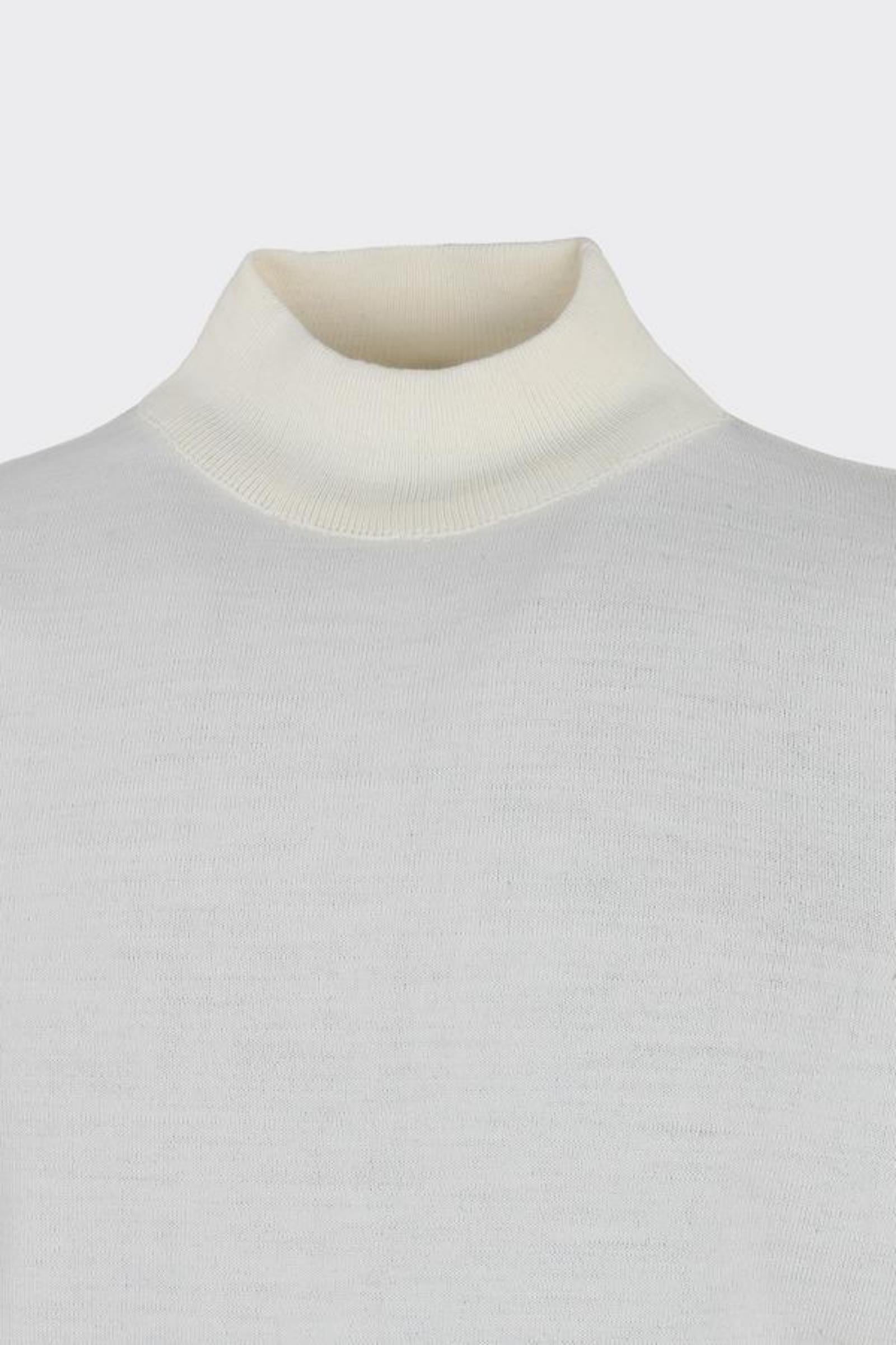 Erkek Allure Yarı Balıkçı Triko-W2506550